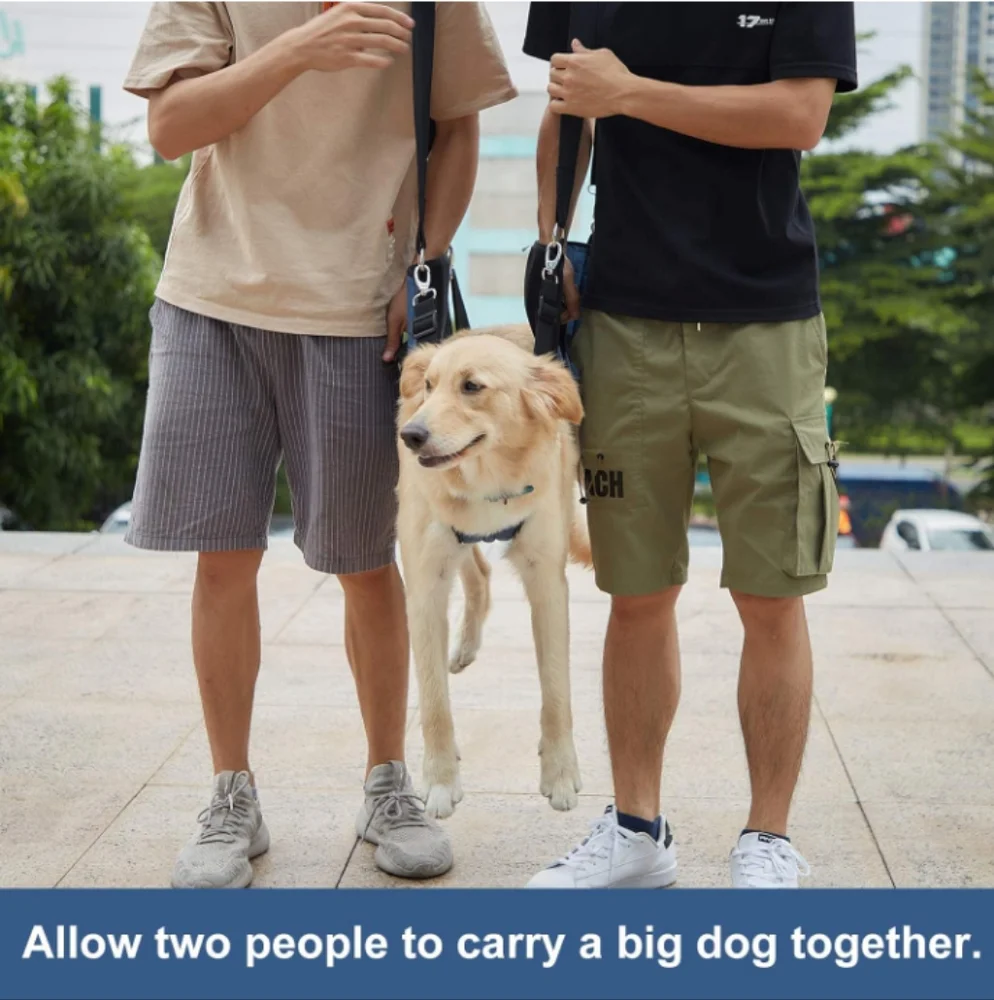 New Pet Carrier Harness